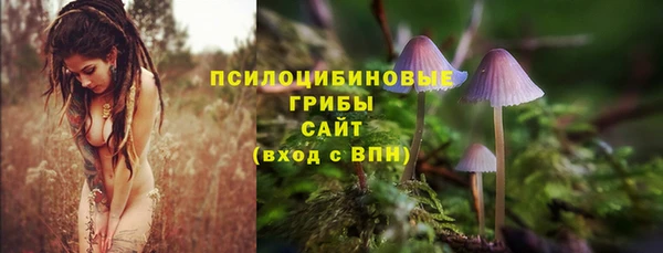 спайс Алексин