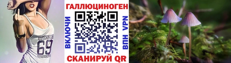 дарнет шоп  Магнитогорск  Галлюциногенные грибы MAGIC MUSHROOMS 