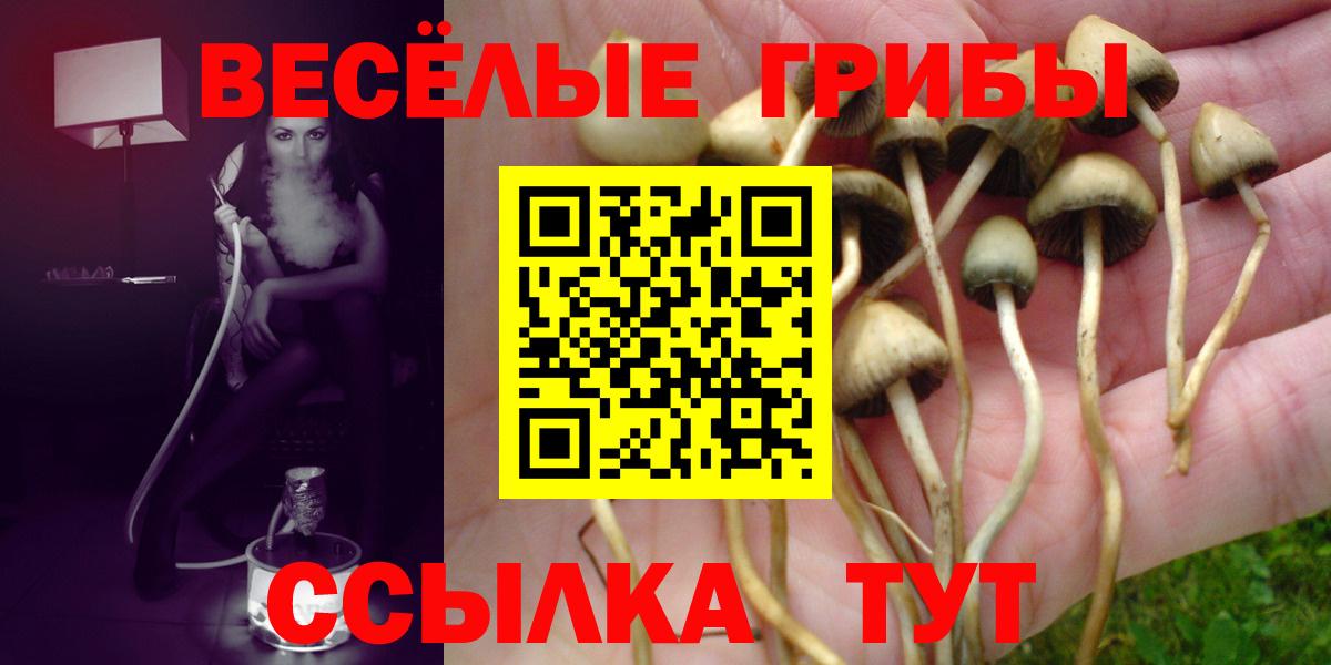 Псилоцибиновые грибы ЛСД  Вход с VPN  Магнитогорск 